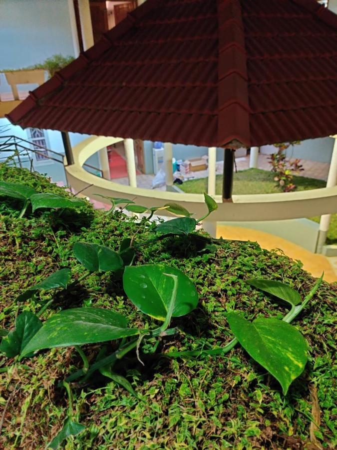 Nisarga Resort Kaglipur Zewnętrze zdjęcie